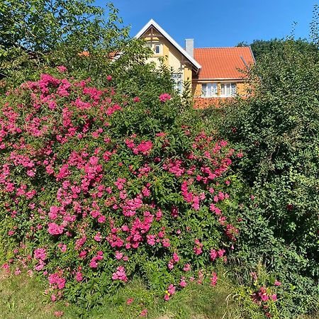 Neulandhof Spoering Apartment Walsrode Exterior foto